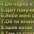 КРАЩІ ВЕСІЛЬНІ ПІСНІ ЗБІРКА УКРАЇНСЬКИХ ВЕСІЛЬНИХ ПІСЕНЬ