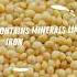 Health Benefits Of Amaranth Healthbenefits Amaranth