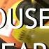 Audiophile Hoarder House Clearout Part II Vinyl Vintage Audio Video