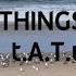 All The Things She Said T A T U Clean Lyrics LYRICAL A Music