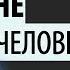 Никакие Подвиги не помогут человеку Любовь соединяет с Богом Никон Воробьев письма 240 247