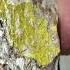 What Radioactive Uranium Ore Looks Like