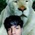 A Tiger In The Zoo Class 10 English Poem A Tiger In The Zoo Poem A Tiger In The Zoo
