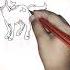 Horse Drawing Short Learn Trending Shorts Shortvideo Millionviews Viralshorts Yt Drawing