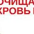 Лопух в Аюрведе Домашний лекарь выпуск 97