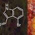 LSD Synthesis In 7 Steps Educational Lysergic Acid Organic Chemistry Reaction Mechanisms