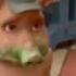 Shrek New Roar