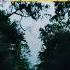 The Enchanting Journey From Siliguri To Kalimpong Shorts Shortsfeed