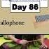 Musical Instruments Metallophone Day 86 Shortsbeta Drum Instrument Musicalequipment