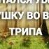 НЕ ЕШЬ МУХОМОРЫ ПОКА НЕ ПОСМОТРИШЬ ЭТОТ ПОДКАСТ Мухоморный Подкаст 2 Михаил Кузминский