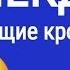 Анекдот 135 Летающие крокодилы гвоздь программы