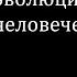 Социальная эволюция человеческой семьи