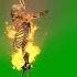 Burning And Dancing Skeleton Green Screen HD