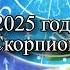 Гороскоп на 2025 год Скорпион