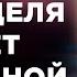 Сказки на ночь Волшебная неделя для знающих ведьмочек