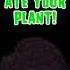 Plants Vs Zombies 2 The Zombies Ate Your Plant Of Far Future