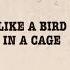 Kasabian Bird In A Cage Official Lyric Video