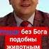 грех правда суд Бог Иисус церковь любовь христианство проповедь выгода небеса ад