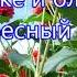 Благословен тот дом