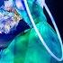 The One I Love Aerial Hoop Act By Danila Bim Aerialhoop Danilabim Cirquedusoleil Aerialring