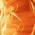 Radio Blackouts Sweep Across The Globe As The Solar Flare MACHINE GUN Turns On M6 0 EQ In Tonga