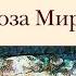 ВСЕМ ПРИВЕТ О КНИГЕ АНДРЕЕВА РОЗА МИРА