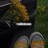 I Wanna Be Yours Arctic Monkeys Lyrics Aesthetic Video Status Lyrics Edit Viralshorts