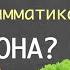 Род существительных Он она оно Gender Of Nouns In Russian Русский язык как иностранный для детей