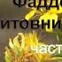 Поучения старца Фаддея Витовницкого часть 1