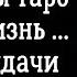 4 королевы личная жизнь 4 варианта