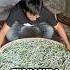 Millions Earned From Silkworms In China