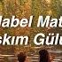 Mabel Matiz Aşkım Gülüm Lyrics Söyle Bana Aşkım Gülüm Sensiz Nasıl Geçsin Günüm