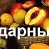 День 16 Медитация Изобилия и Благодарность 21 день изобилия Дипак Чопра на русском языке