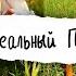 Устраиваем Идеальный ПИКНИК Саша Спилберг