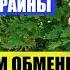Важное обращение к защитникам Украины
