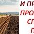 Как в поля ВЕРНУТЬ ПЛОДОРОДИЕ и убрать подплужную подошву 678 24