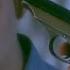 Single White Female 7 8 Movie CLIP I M Like You Now 1992 HD