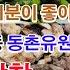 대구 동구 맛집 효목막창 가 보면 기분이 좋아질듯한 맛집