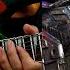 Transformers Reunite Guitar Cover Theme