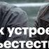 Чем до сих пор интересно Сверхъестественное ностальгический привет из 2000 х