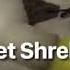 Shrek And A Saxophone