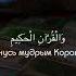 Сура 36 Ясин чтец Мансур Мухиддин Подпишись на меня