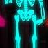 Midnight Magic Five Skeletons Part 1 Spooky Scary Skeleton Songs Teehee Town