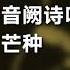 音阙诗听 赵方婧 芒种 动态歌词