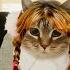 OIIA Cat X Baby One More Time Britney Spears Remix