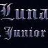 LUNA Lyric Video Peso Pluma Junior H