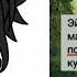 автор не умеет петь