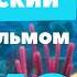 РАЗГОВОРНЫЙ АНГЛИЙСКИЙ с мультфильмом В ПОИСКАХ НЕМО Grammar Licious