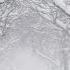 Shut Your Eyes Snow Patrol