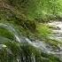 Babbling Brook Birds Chirping Forest Sounds Reduces Stress